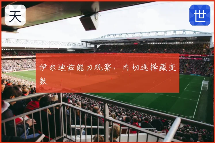 伊尔迪兹能力观察,内切选择藏变数